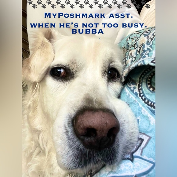 J. Crew NWOT-Brand New *Silver* 1/2” Wide Hoops. Great Everyday Earrings! - Picture 7 of 8